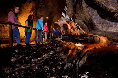 Discover magical moments at the Marble Arch Caves 