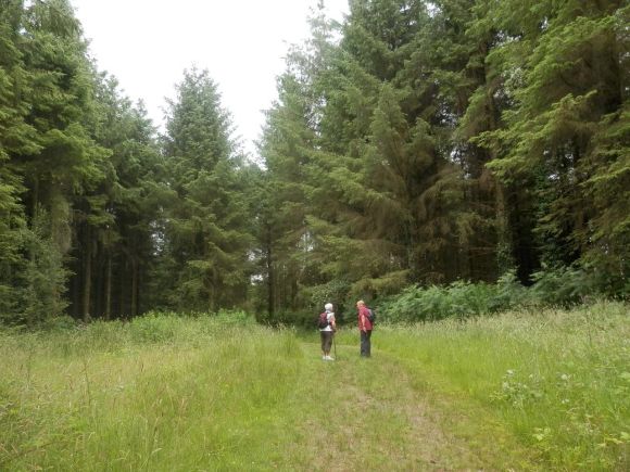 Killeshandra Walking Trails 