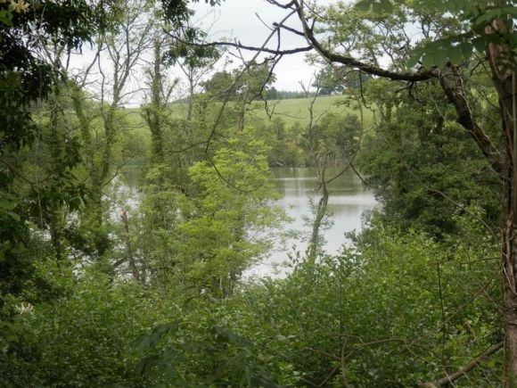 Killeshandra Walking Trails 